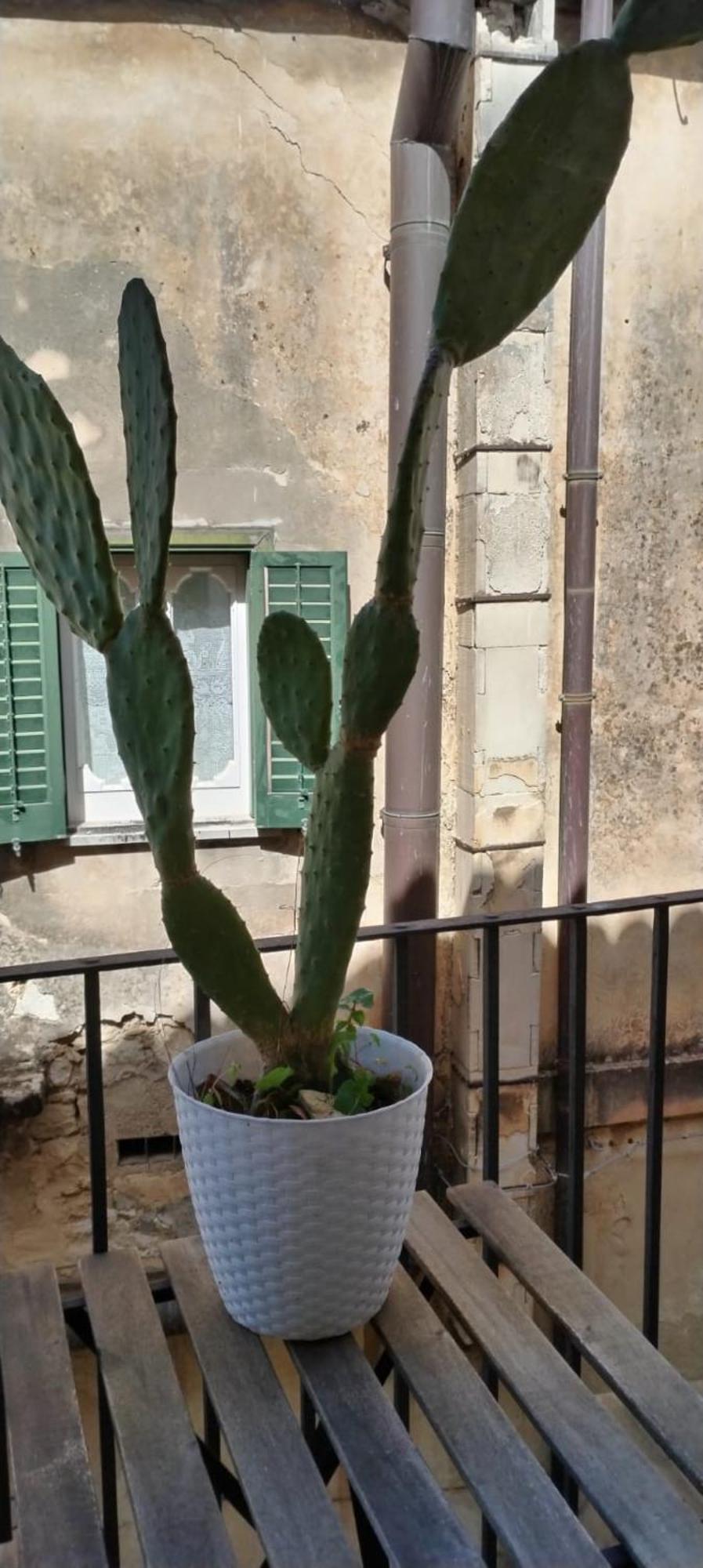 Residenza Donnafugata B&B Ragusa Exteriér fotografie